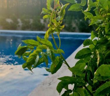 Otura Villa | Luxury Villa with swiming pool next to Granada