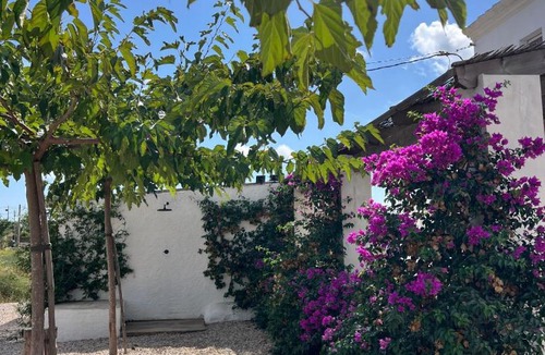 Sant Jaume d'Enveja House | Mas Midó