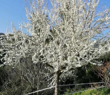 La Garriga House | MASIA CAN SUNYER AGROTURISMO