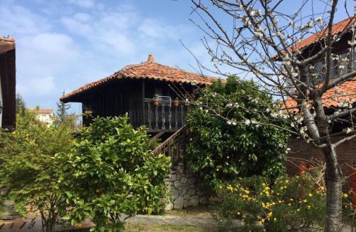 Celorio Hotel | Moran Playa