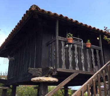 Celorio Hotel | Moran Playa