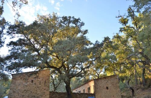 Jabugo Ski Chalet | Nature Space Jabugo by SIERRA VIVA