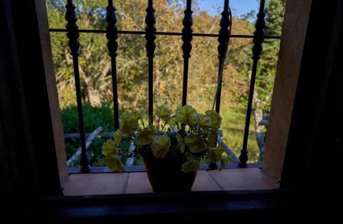 Fuenteheridos House | Navalgatos