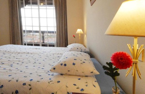 Puerto de la Cruz House | Penthouse Anky -Vivienda vacacional