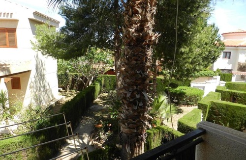 Playa Flamenca Apartment | Playa flamenca