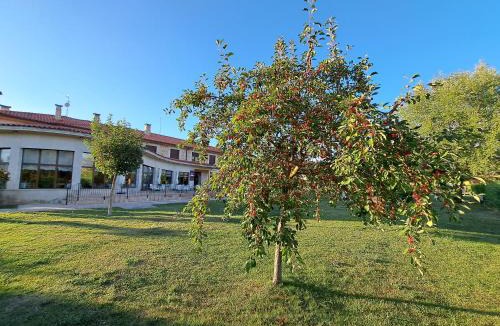 Caleruega Hotel | Prado de las merinas