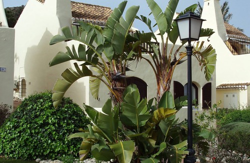 Diputacion de Rincon de San Gines Villa | Quality, detached, modern yet comfortable villa set amongst stunning gardens