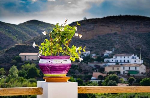 Locaiba Apartment | Rambla Retreats Apartment Azul with shared pool & hot tub in Oria