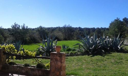 Enguera House | Refugio de Montaña "El Caroche" Alojamiento entero