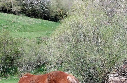 Llanaves de la Reina House | Rural accommodation with fireplace, in Picos de Europa