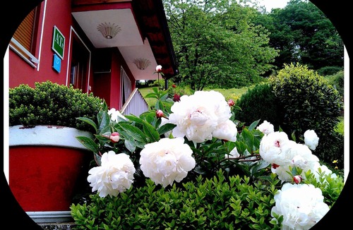 Villamayor Apartment | Rural, countryside, WIFI. For 2 persons. Asturias.