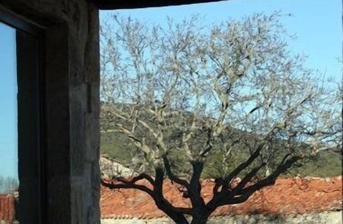 Briongos Cottage | RURAL HOUSE 5 CELEMINES NORTE