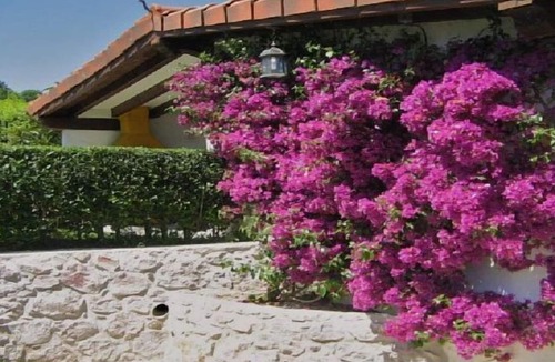 Lamadrid Cottage | RURAL HOUSE EL TERRERO