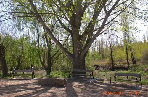 Rabano Cottage | Rural house Regidor II in the Ribera del Duero