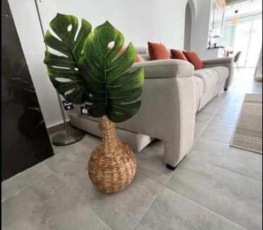 San Fulgencio House | Sam