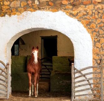 Area metropolitana de Ciutadella Villa | Son Mestres de Baix