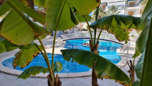 La Mata Apartment | Sueño