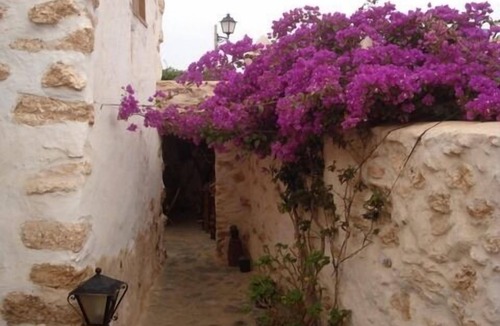 Tuineje Cottage | Tamasite Country House, Toto