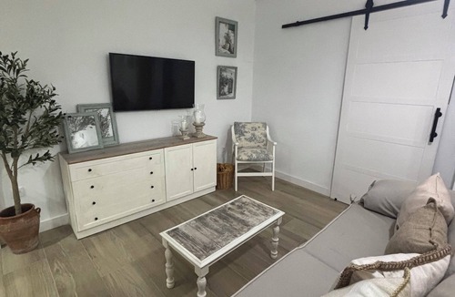 Jaen Apartment | The green olive tree
