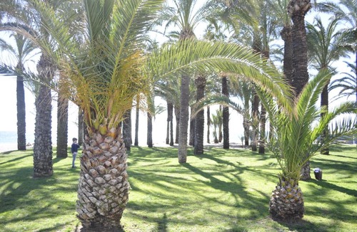 Carihuela Apartment | Triana