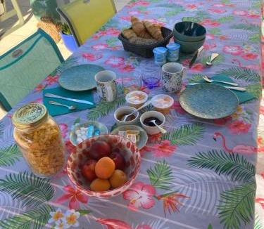 Sanguinet Bed & Breakfast | Villa Caplanne