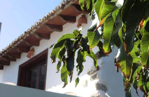 Agulo Apartment | Villa Delfines (Adults only) - Relax in nature with oceanviews terrace