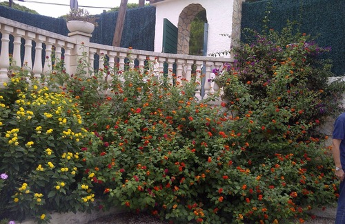 Pals House | Villa on the beach in Pals-Begur with barbecue and private pool