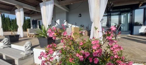 Calig House | Villa Pardalot Boutique Stays