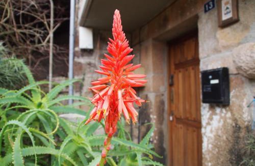 Penamellera Baja House | Vivienda Vacacional La Escribana - Casas de los Picos