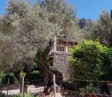 Escorca House | YourHouse Cas Sito