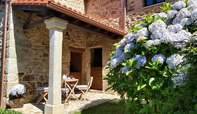 A Casa dos Avós es una casa de Piedra de 1850 con Piscina y en plena Naturaleza en Galicia