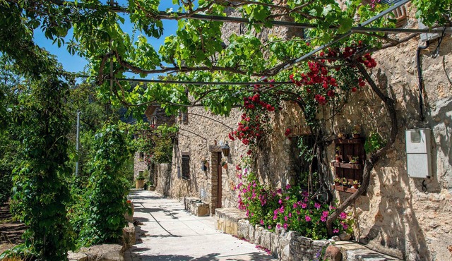 A whole house in the mountains. Perfect for hiking and nature lovers