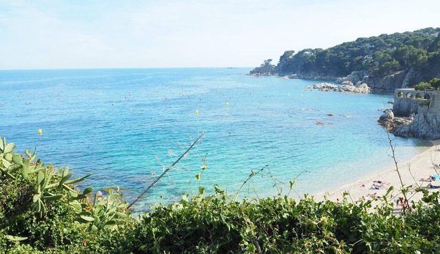 Apartament amb Piscina i Parquing Baixos amb Jard