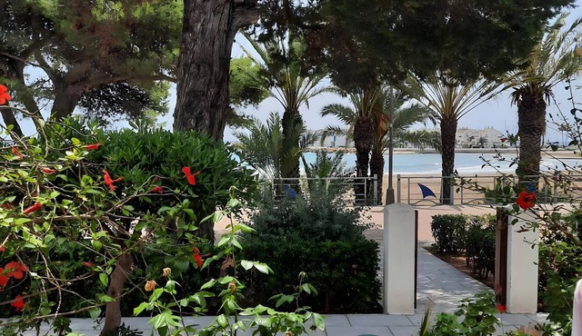 Apartment 'Frente Al Mar' with Sea View, Balcony and Wi-Fi