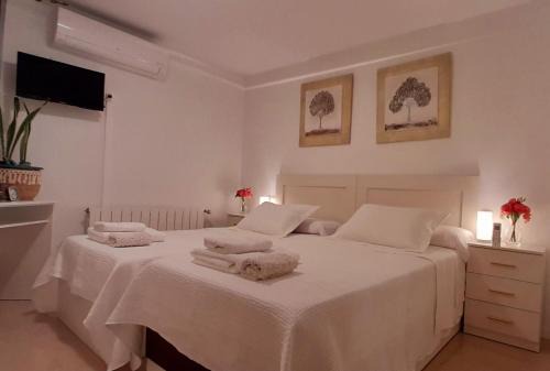 Armonía y tranquilidad habitaciones