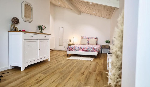 Bed and Breakfast 'Chambre D'hôtes Château Austerlitz' with Wi-Fi and Air Conditioning