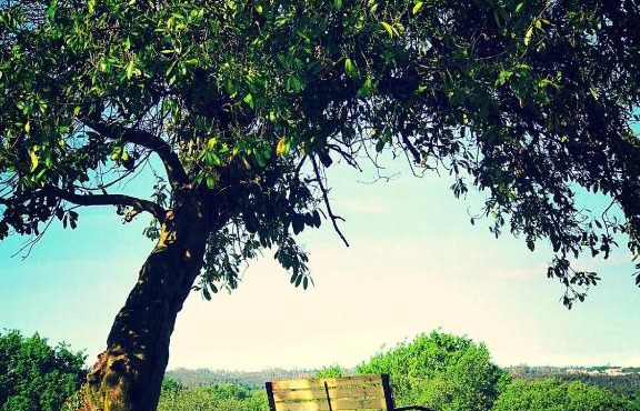 Campamento Turístico Brandoñas