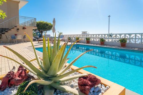 Casa Aloe