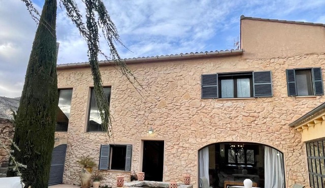 Casa familiar entre olivos, con patio y barbacoa