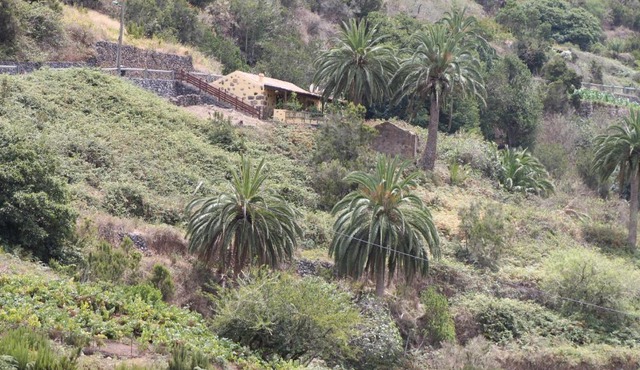 Casa Rural El Rincón de Antonia