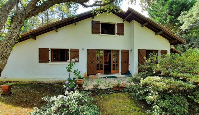 Charming country house between the forest and the ocean - Contis