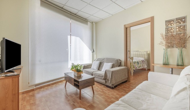 Comfortable Apartment with Wi-Fi and Air Conditioning