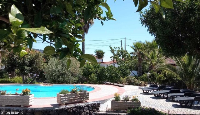 Cozy apartment with patio in the subtropical garden with pool