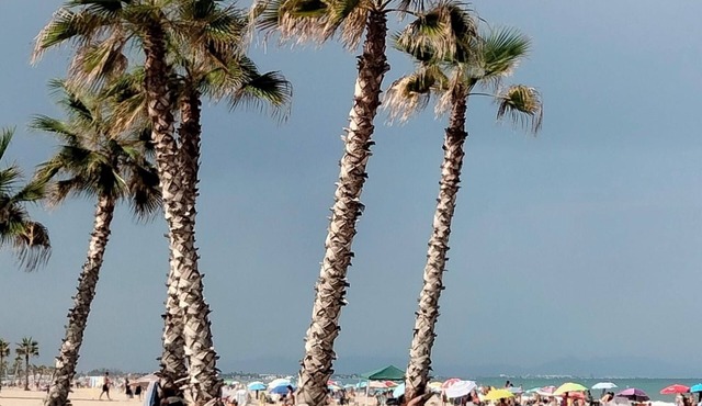 Excellent 100m apartment across from the lighthouse, a 3-minute walk from the beach, in a quiet area