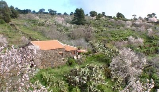 für 3 Personen + 2 Kinder ca. 60 m² in El Pinar, El Hierro by Interhome