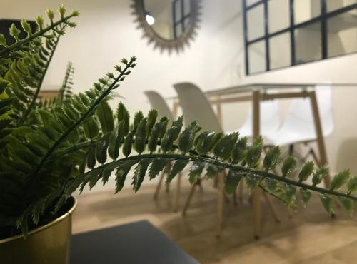 Loft Nature en Bernabé Soriano