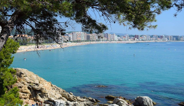 Lovely apartment for 6 people with pool, WIFI, A/C, TV, terrace and parking