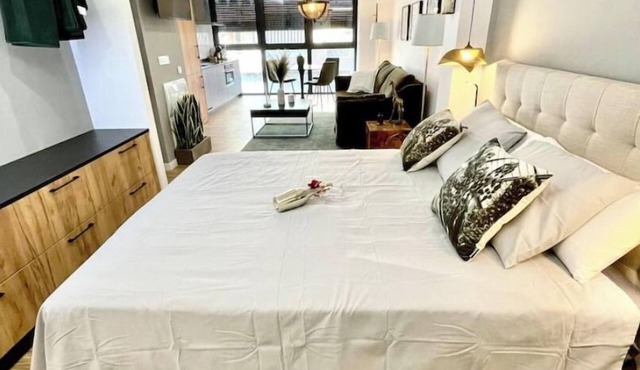 Luxury Apartment in Alicante city 2