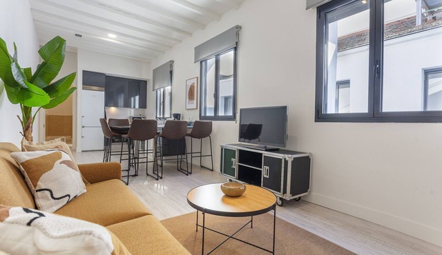 Olavide XIV apartment in Madrid