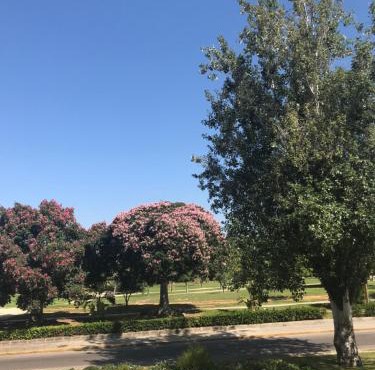 Plaza Sainetero Arniches